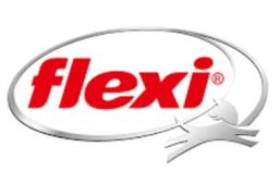 flexi logo.png